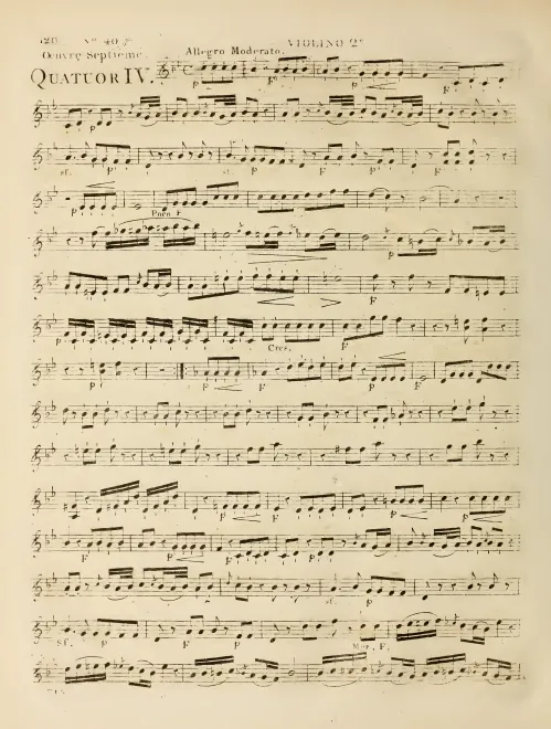 Violin 2