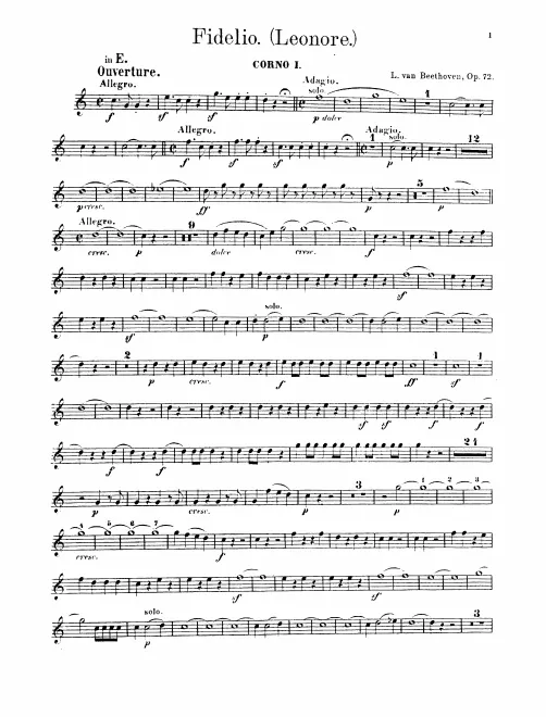 Horn 1