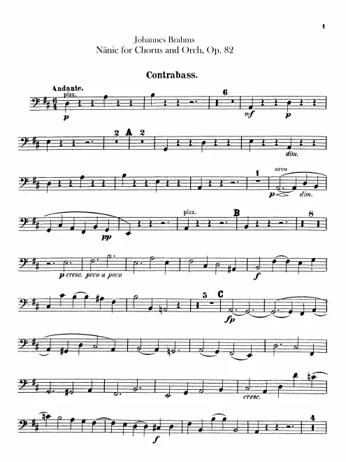 Basses