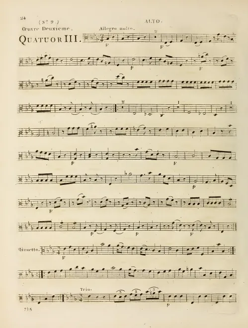 Viola