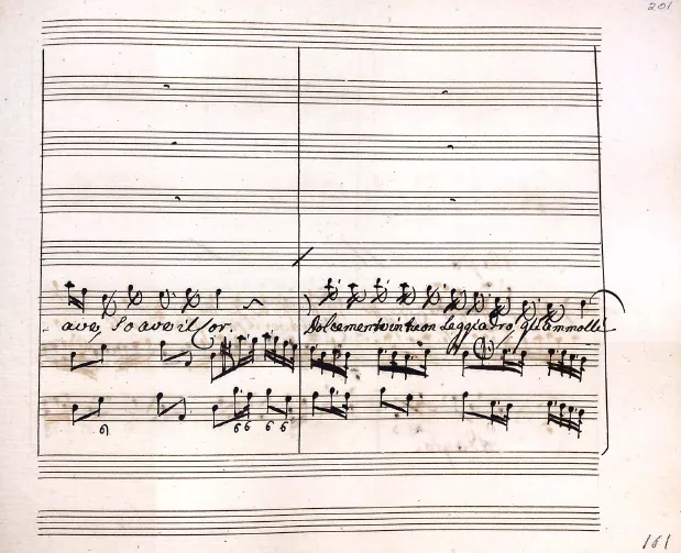 Segment 3