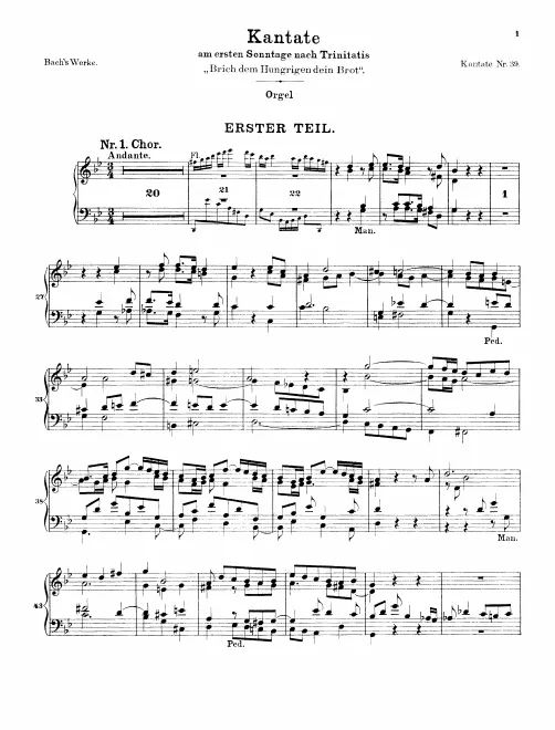 Organ