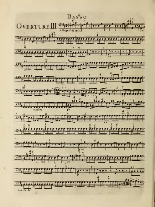 Bassoon, Cellos, Basses
