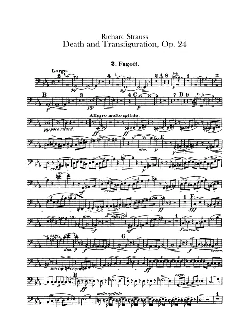 Bassoon 2