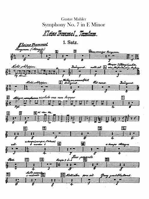 Snare Drum/Tam-Tam