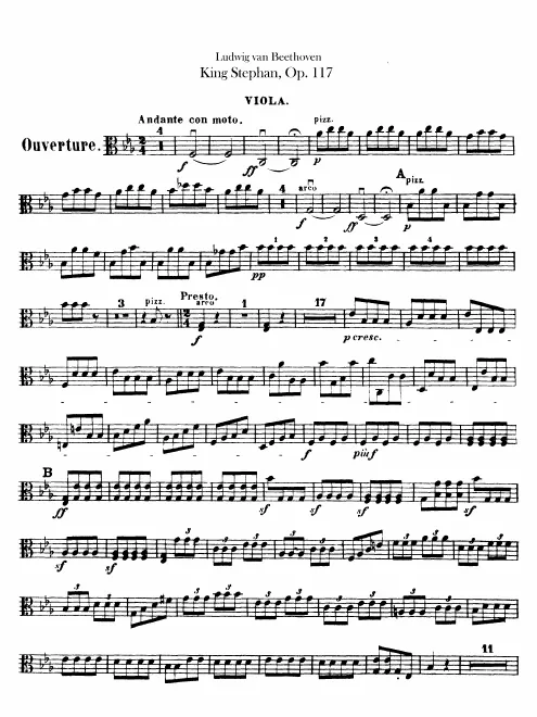 Violas
