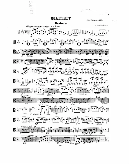 Viola