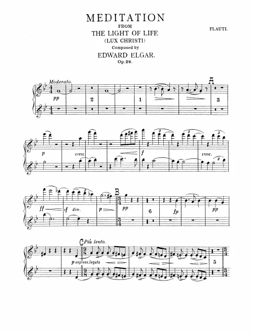 Flute 1/2