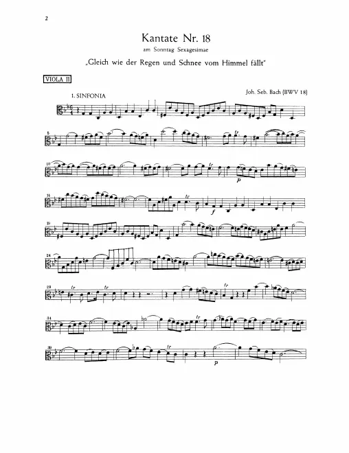 Violas II