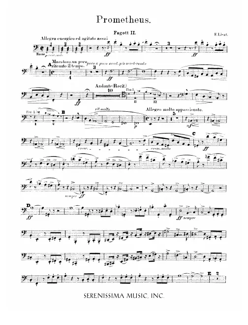 Bassoon 2