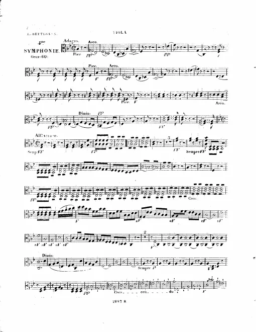 Violas
