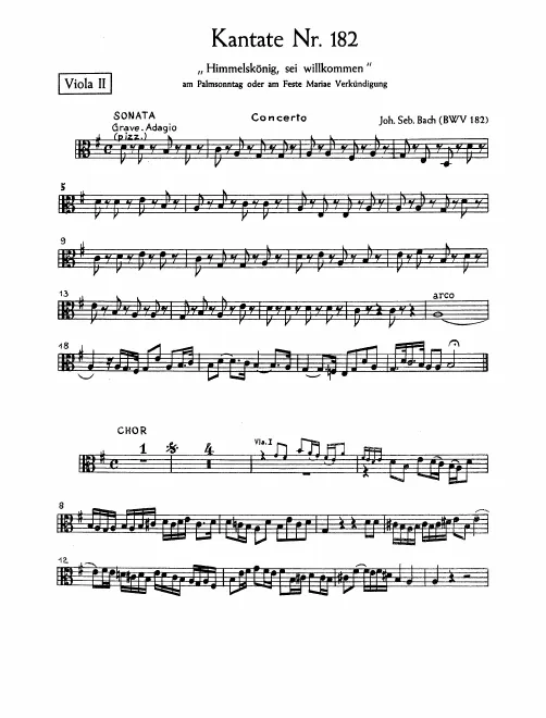 Violas II