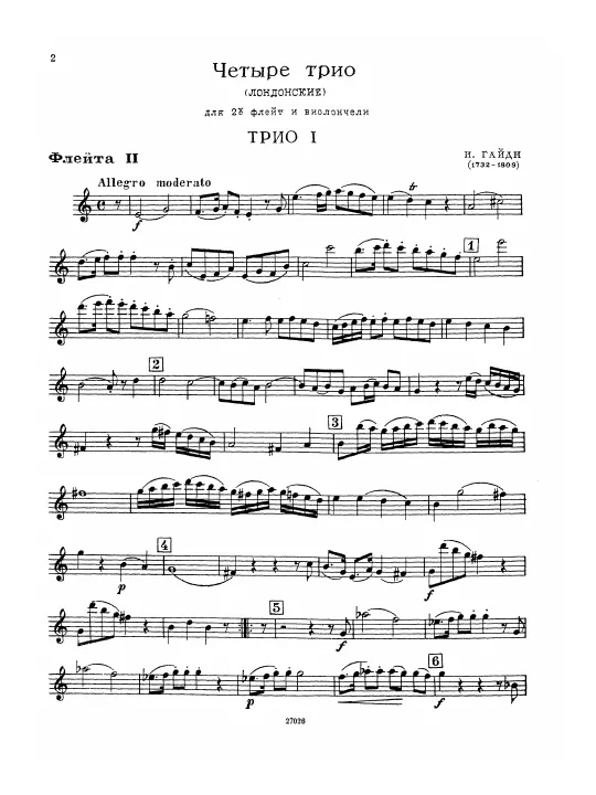 Flute 2