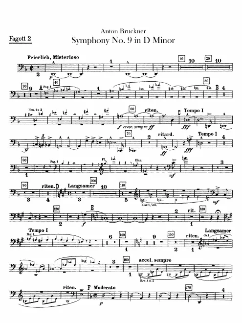 Bassoon 2