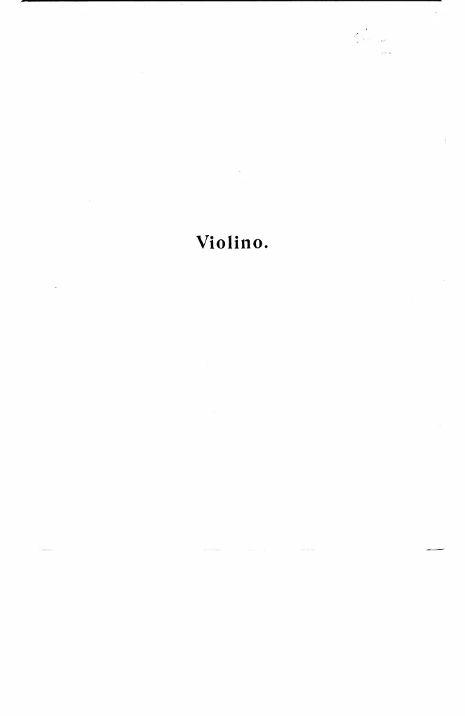 Violin
