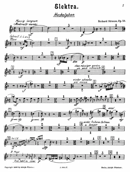 Heckelphone