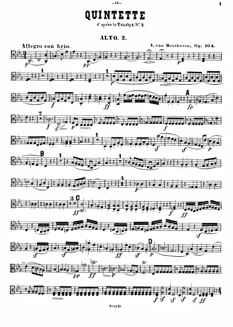Viola 2