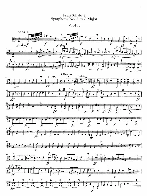 Violas