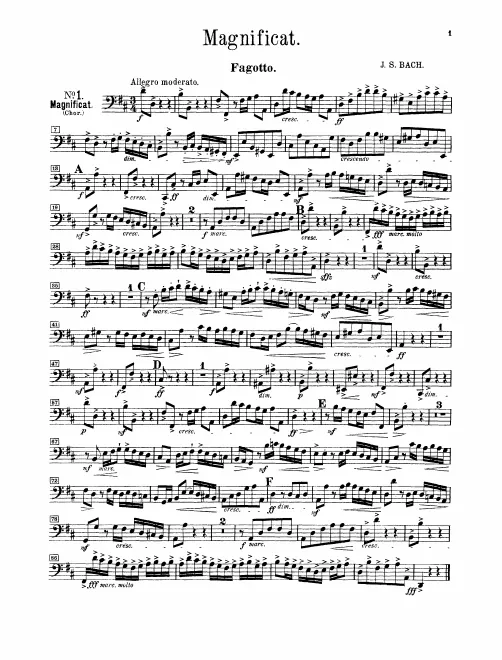 Bassoon