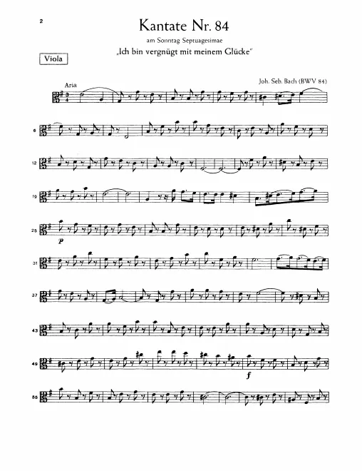 Violas