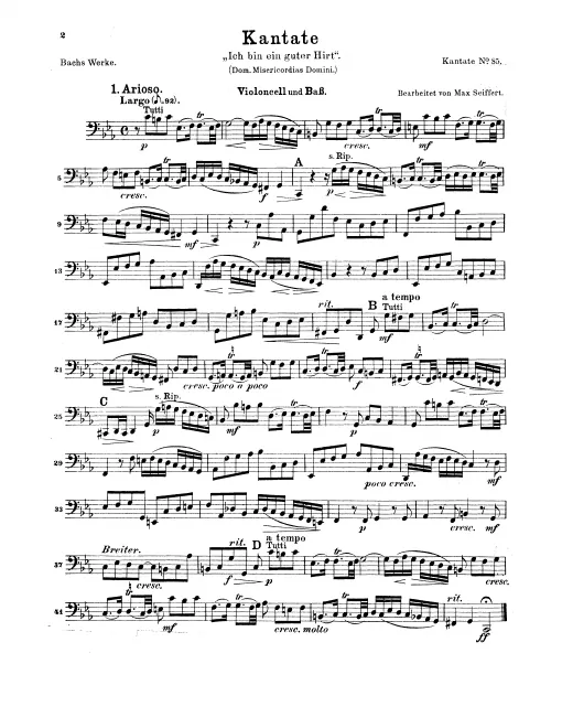 Cellos/Basses