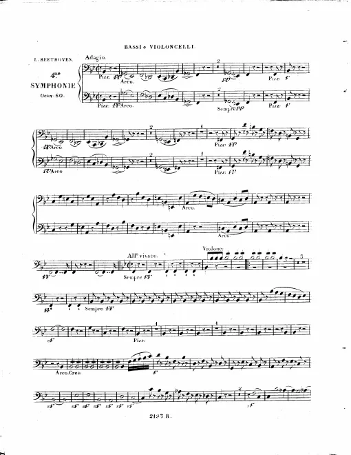 Cellos/Basses