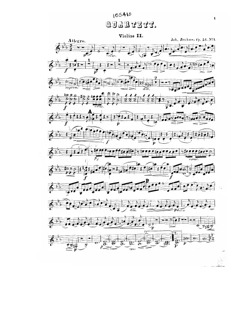 Violin 2