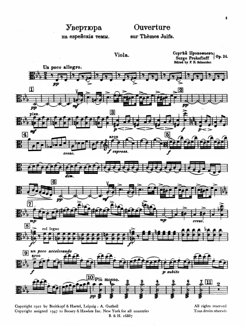 Viola