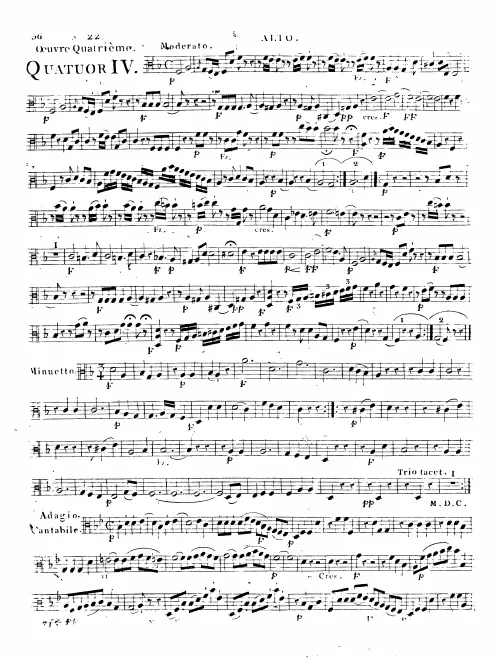 Viola