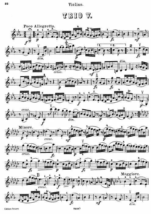 Violin