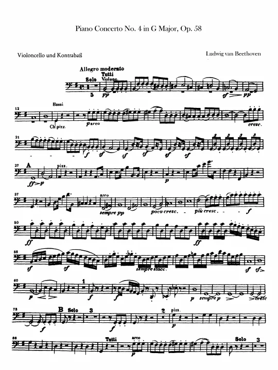 Cellos/Basses