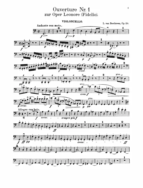 Cellos