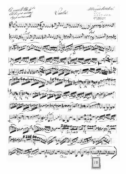Viola