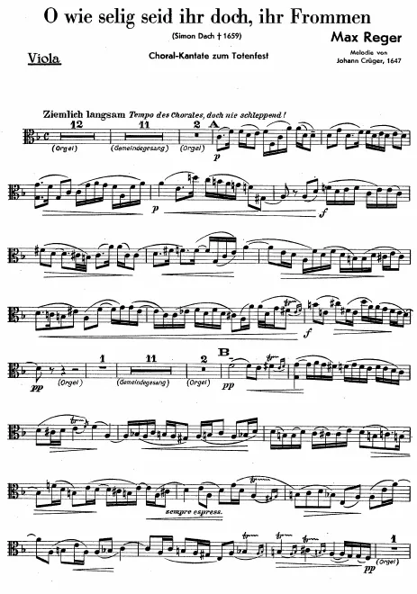 Viola