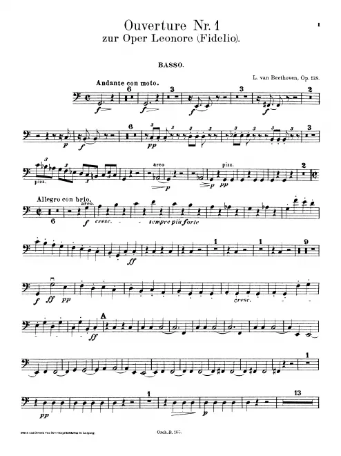 Basses