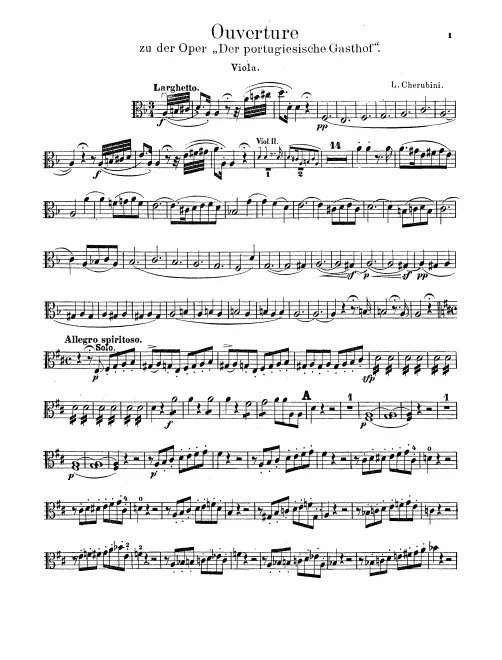 Violas