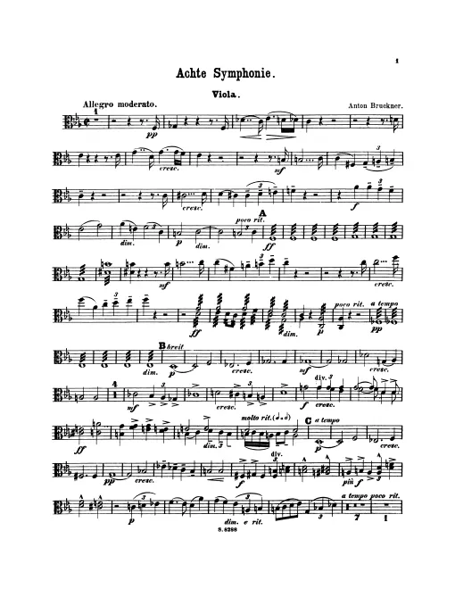 Violas