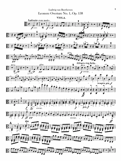 Violas