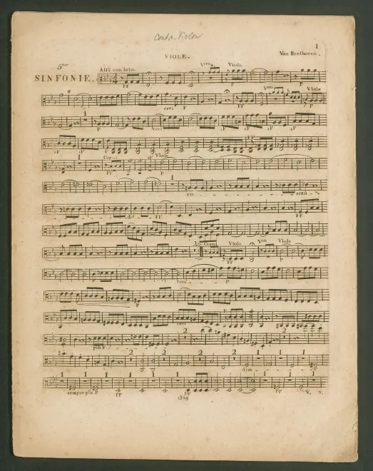 Violas