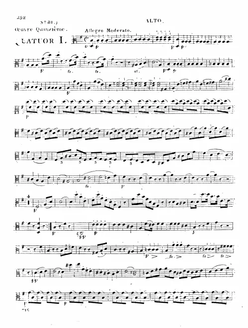 Viola