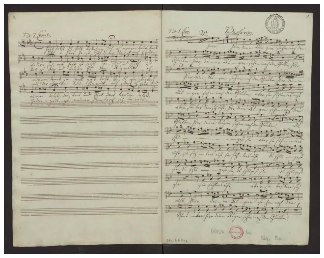 Basses Ripieni (2x)