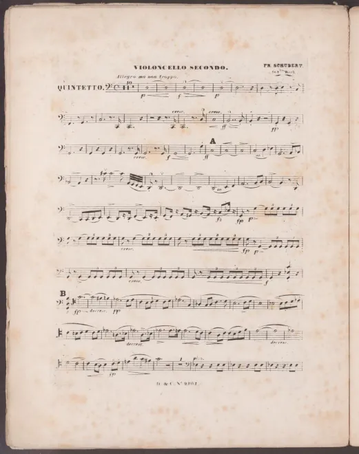 Cello 2