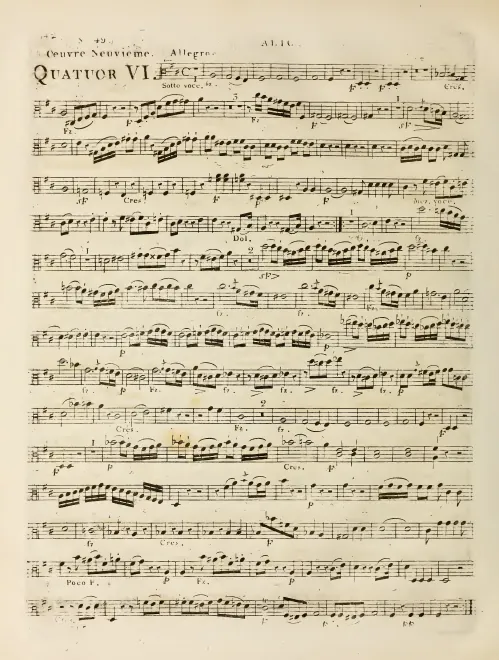 Viola