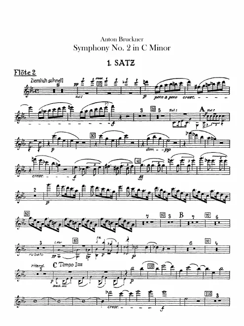 Flute 2
