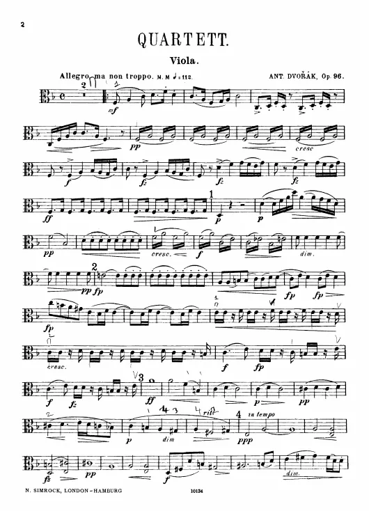Viola