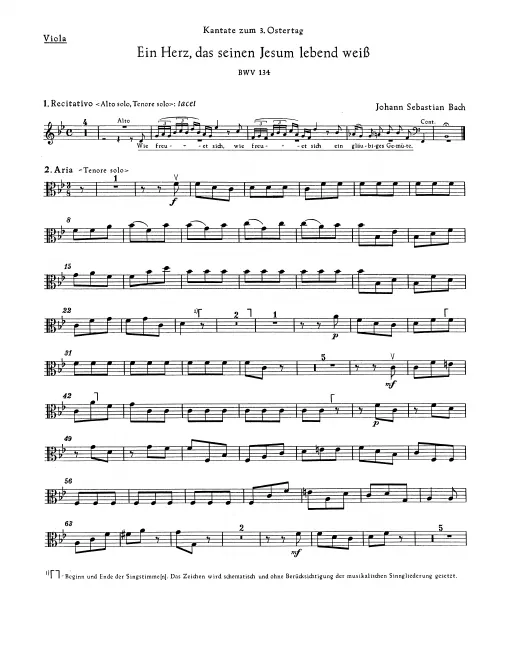Violas