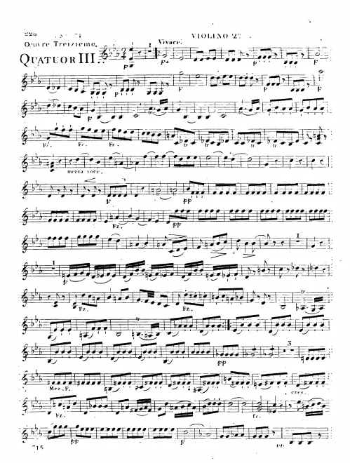 Violin 2