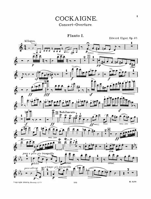 Flute 1