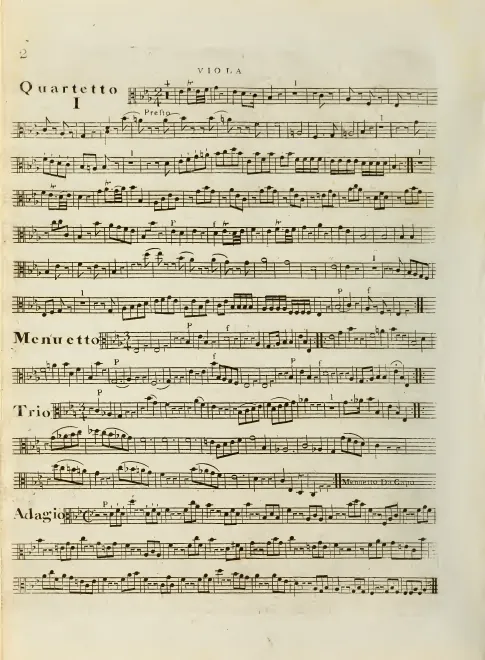 Viola