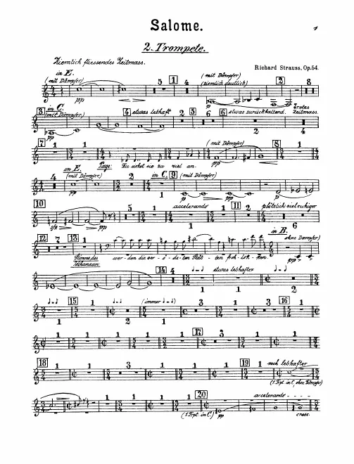 Trumpet 2